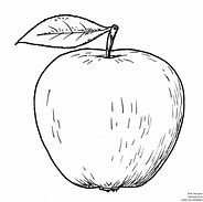 Image result for Sketch Image of Apple