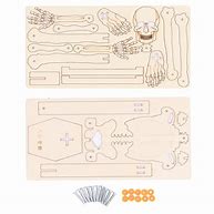 Image result for Toy Skeleton Parts