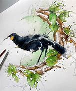 Image result for Huia Draw