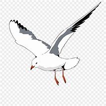 Image result for Flying Seagull Clip Art