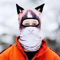 Image result for Cat with Ski Mask