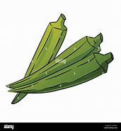 Image result for Okra Drawing