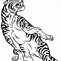 Image result for White Tiger Drawing On Grey Paper Cute