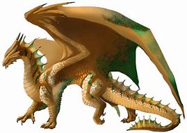 Image result for Dnd Bronze Dragon