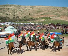 Image result for Newroz Stad