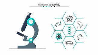 Image result for Pathology Lab Technician Clip Art