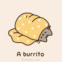 Image result for Cat Eating Burrito