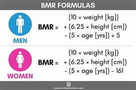 Image result for Define Metabolic Rate