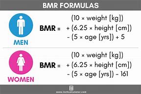 Image result for Average Basal Metabolic Rate