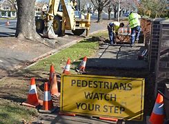 Image result for Dirty around a Tree On the Footpath