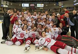 Image result for Dubuque Fighting Saints Seating-Chart