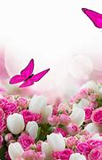 Image result for Beautiful Pink Flowers Pinterest