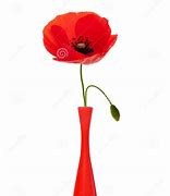 Image result for One Poppy Flower