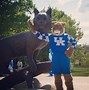 Image result for SEC Football Mascots