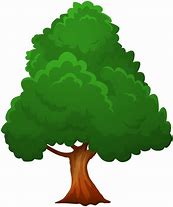 Image result for Tree Pictures Clip Art