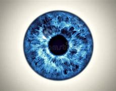 Image result for Free Eye Texture