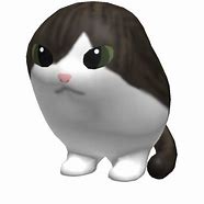 Image result for Face of Wawa Cat