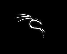 Image result for Kali Linux Logo Black Horror