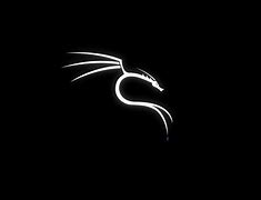 Image result for Kali Linux Logo in Pride Flag