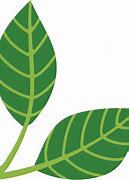 Image result for Leaf Decor SVG