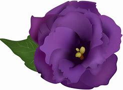 Image result for Purple Flowers Clip Art Images