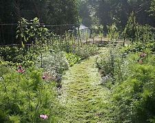 Image result for Biodynamic Herb Garden