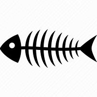 Image result for Bones of Dead Fish