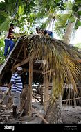 Image result for Palm Thatch Roof