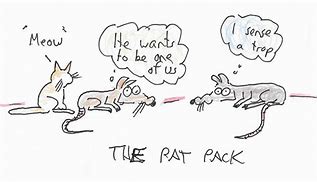 Image result for Rat Pack Cartoon