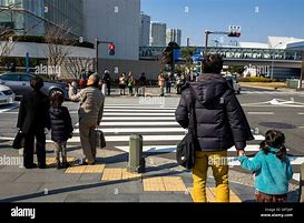 Image result for Tokyo Zebra Road