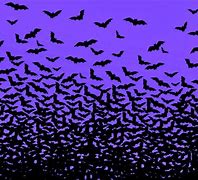 Image result for Bat Wall Art