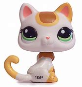 Image result for New Lps Cat Shorthair