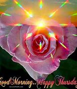 Image result for Beautiful Good Morning Thursday