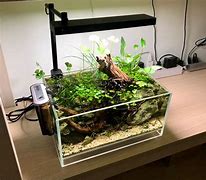 Image result for Shallow Fish Tank