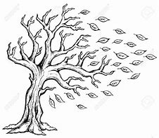 Image result for Tree Blowing in Wind Sketch