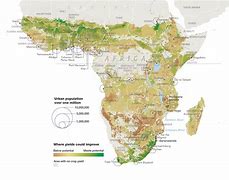 Image result for Africa Farmland