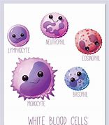 Image result for Blood Cells Clip Art