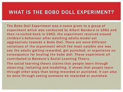 Image result for Bobo Doll Experiment