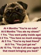 Image result for Pug Sayings