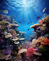 Image result for Alive Coral Reef