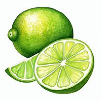 Image result for Lime Tree Clip Art