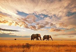 Image result for Best Visiting Places in Kenya