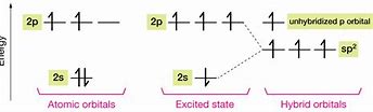 Image result for sp2 orbital bonding