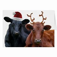 Image result for Dairy Cow Christmas Cards