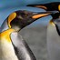 Image result for Linux Penguin Eating Fish