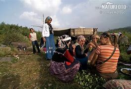 Image result for Kurd People