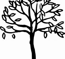 Image result for Line Drawn Tree