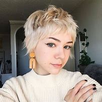 Image result for Fluffy Pixie