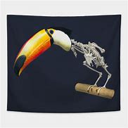 Image result for Toucan Skeleton