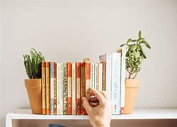 Image result for Book Plant Pot